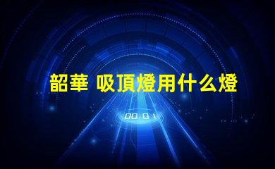 韶華 吸頂燈用什么燈珠